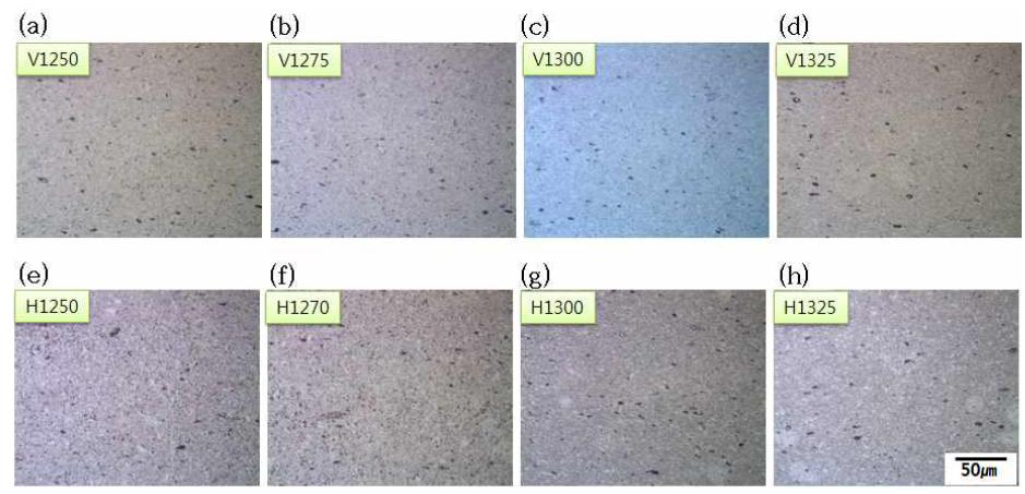 소결 조건에 따른 샘플의 광학현미경 이미지