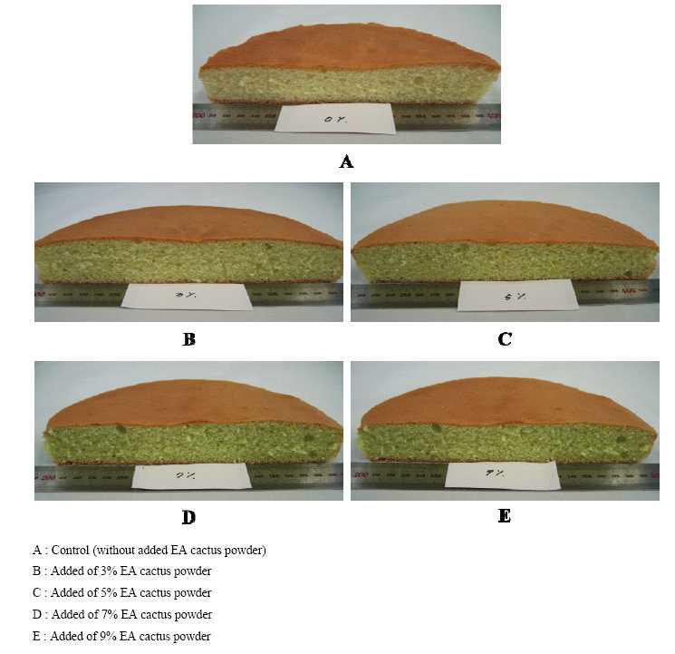Sponge cake added various levels of EA cactus powder.