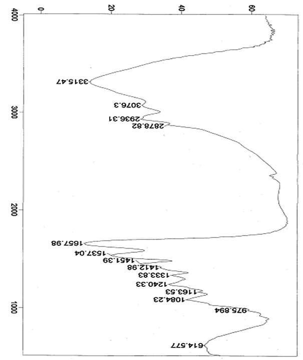 Pelt scrap 가수분해물의 IR spectra