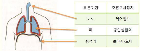 인체호흡기관과 호흡모사 재현장치 기능 개념도