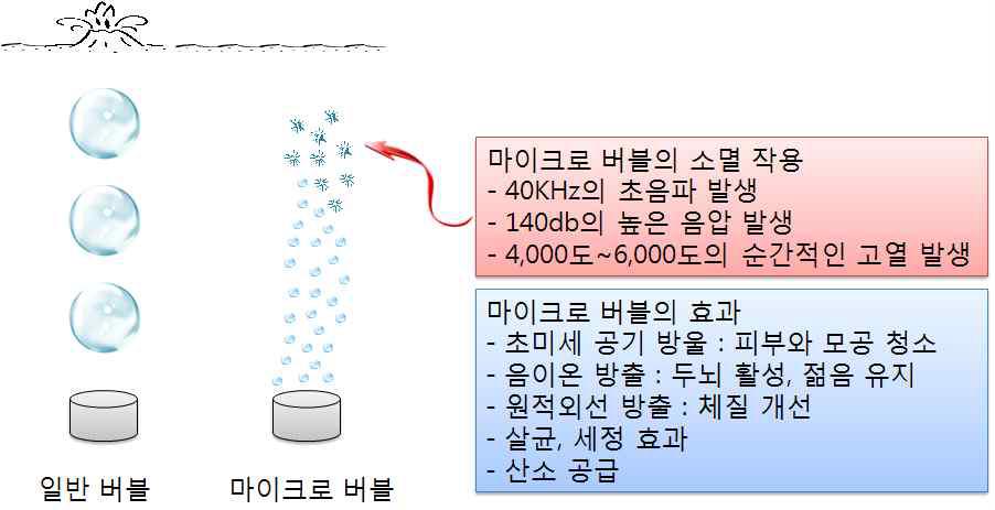 마이크로 버블