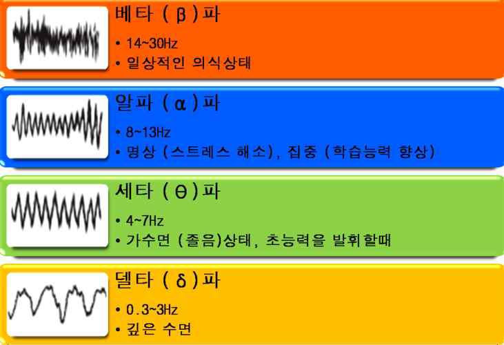 뇌파 신호