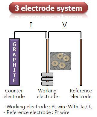 3 electrode system 개략도