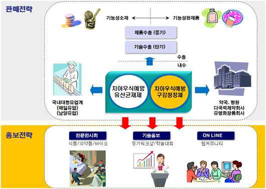 기술개발결과물의 판매 및 홍보전략 모식도