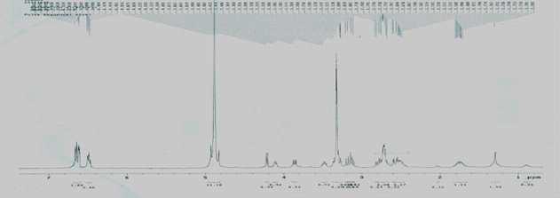 Alnus japonica 유래 Compound 1 1의 H-NMR Spectrum