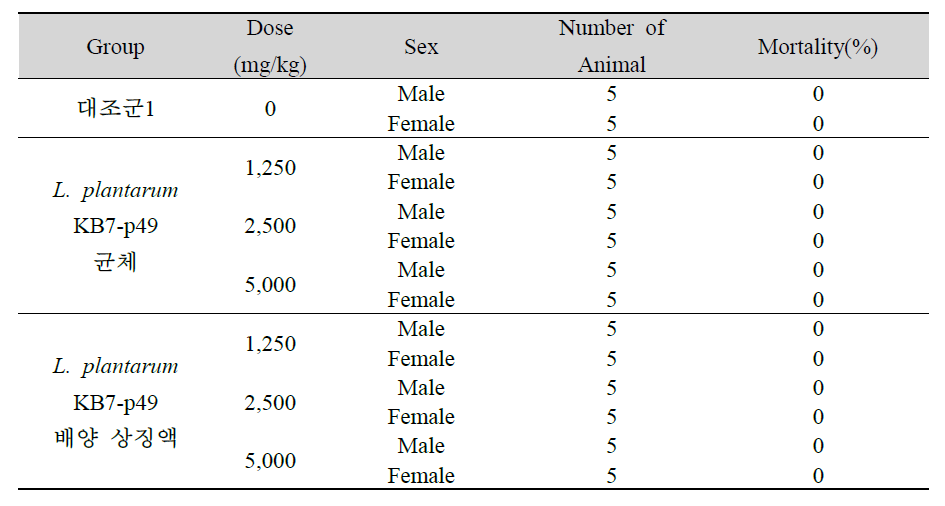 프로바이오틱스 투여 암수 ICR Mice의 사망율