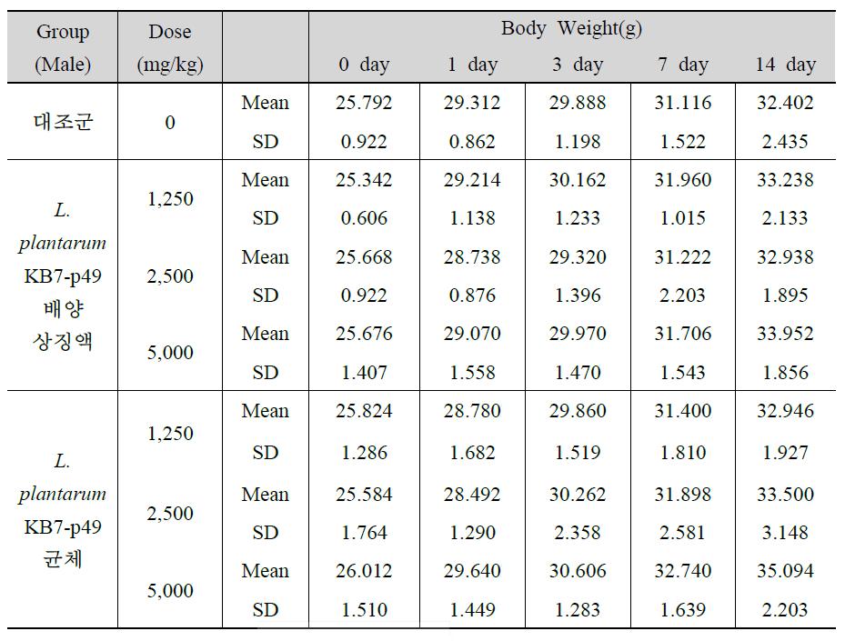 프로바이오틱스 투여 수컷 ICR Mice의 체중 변화