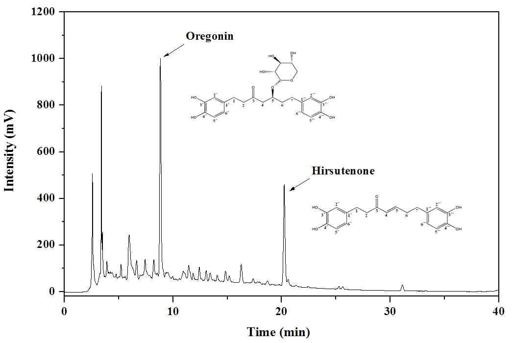 오리목 수피 추출물의 HPLC chromatogram