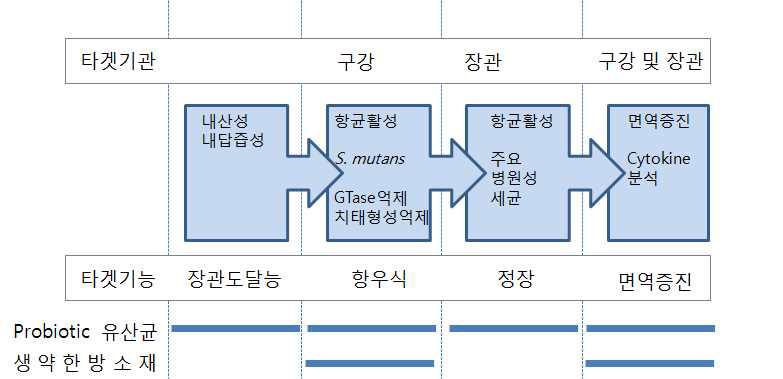 Probiotic 유산균소재와 한방생약소재의 타겟기능 및 타겟기관