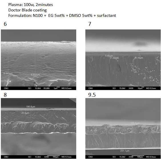 Cross-section SEM image of coated PET film