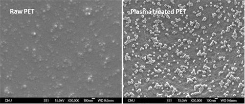 SEM image of pristine and plasma treated PET