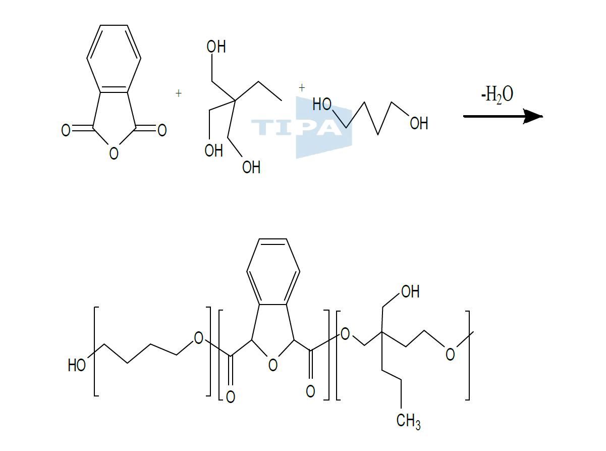 polyester resin의 합성 scheme