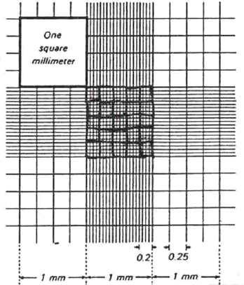 Hemocytometer