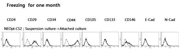 Primary Tumor Cell을 장기간 보관 후 FACS Analysis