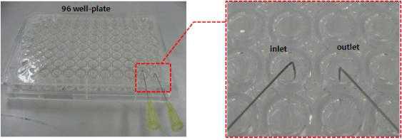 Multi Well Plate 에 PDMS 적층 후 입구와 출구