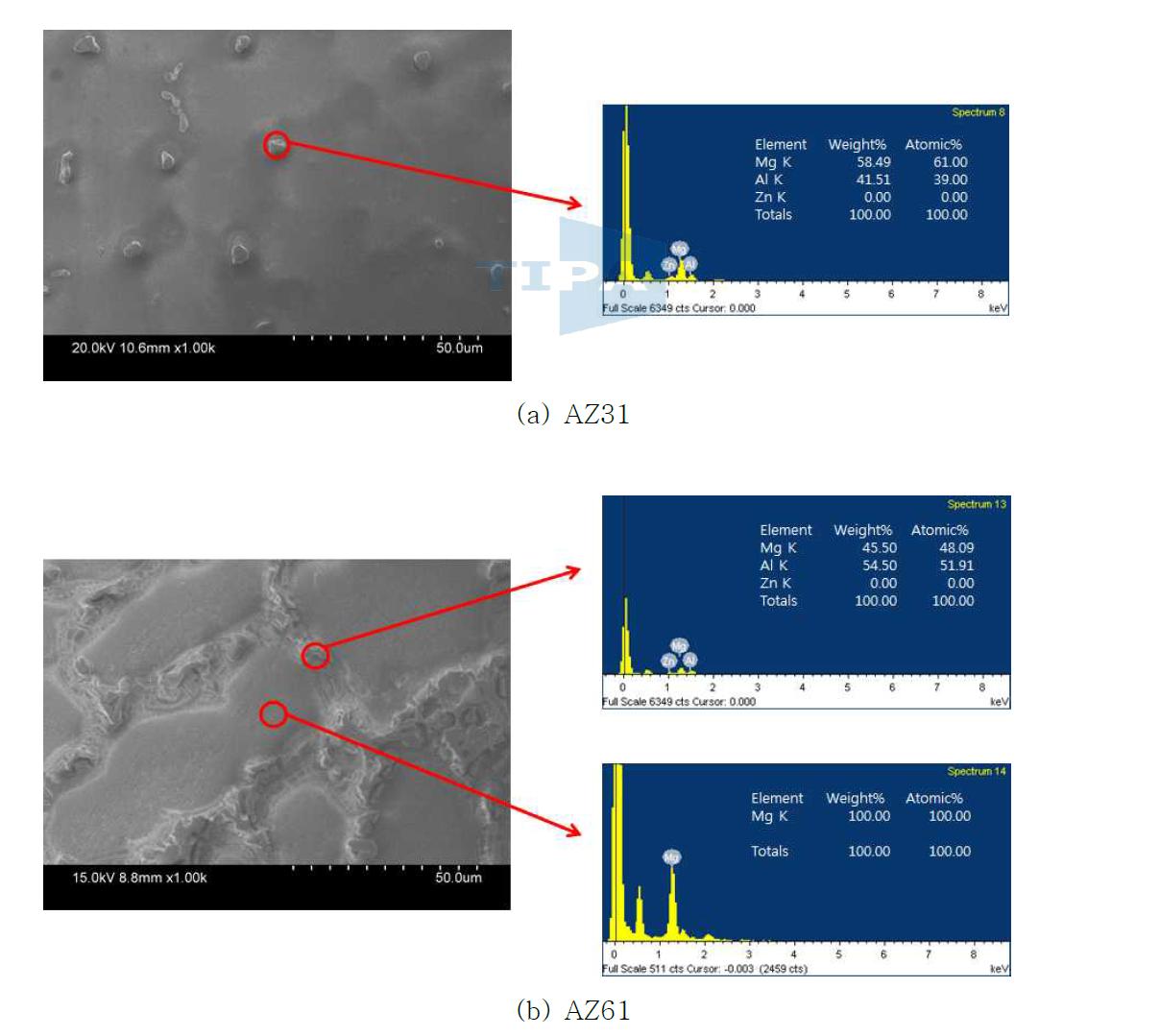 알루텍 제조 AZ31 및 AZ61 연속주조 빌렛의 SEM-EDS 분석 결과