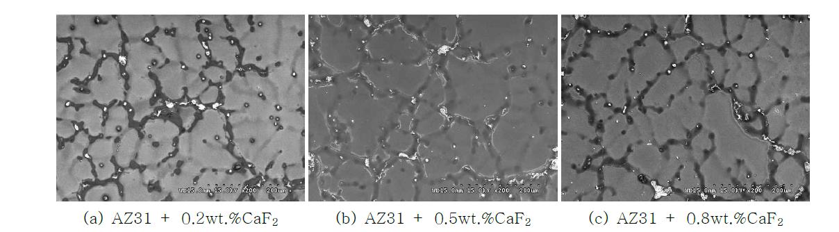 CaF2 Powder를 첨가한 AZ31 합금의 전자현미경 관찰 결과