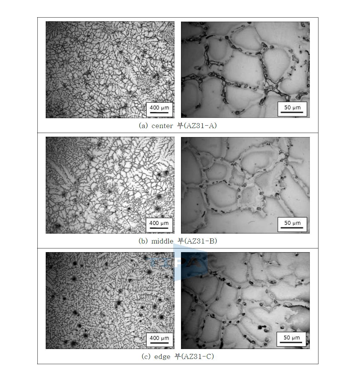 AZ31 빌렛의 위치별 미세조직 관찰 결과