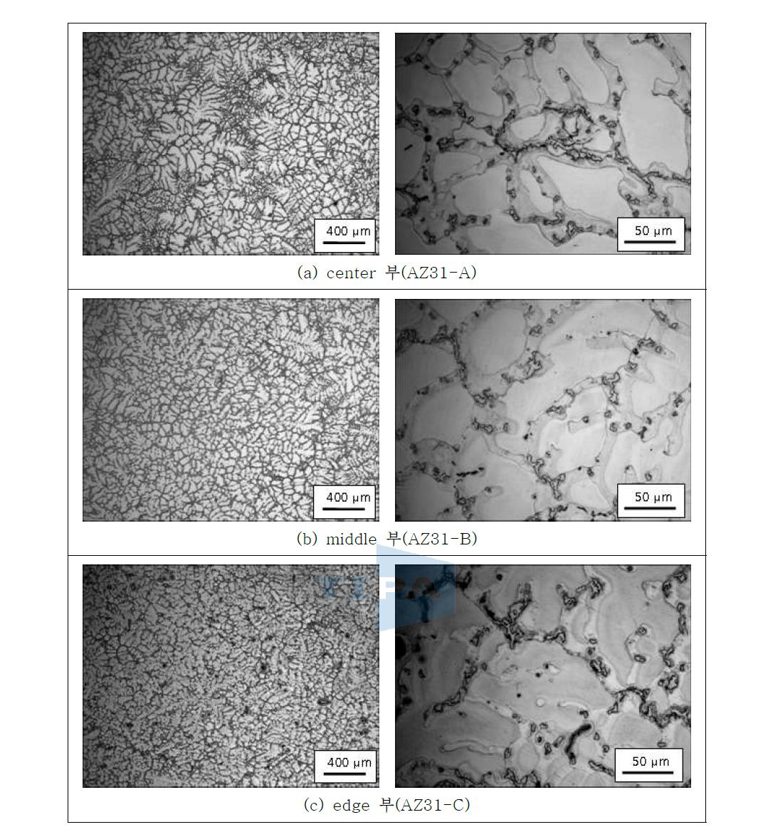 AZ61 빌렛의 위치별 미세조직 관찰 결과