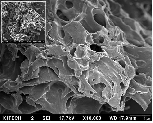 스팀공정을 통해 생산된 활성탄 SEM 사진