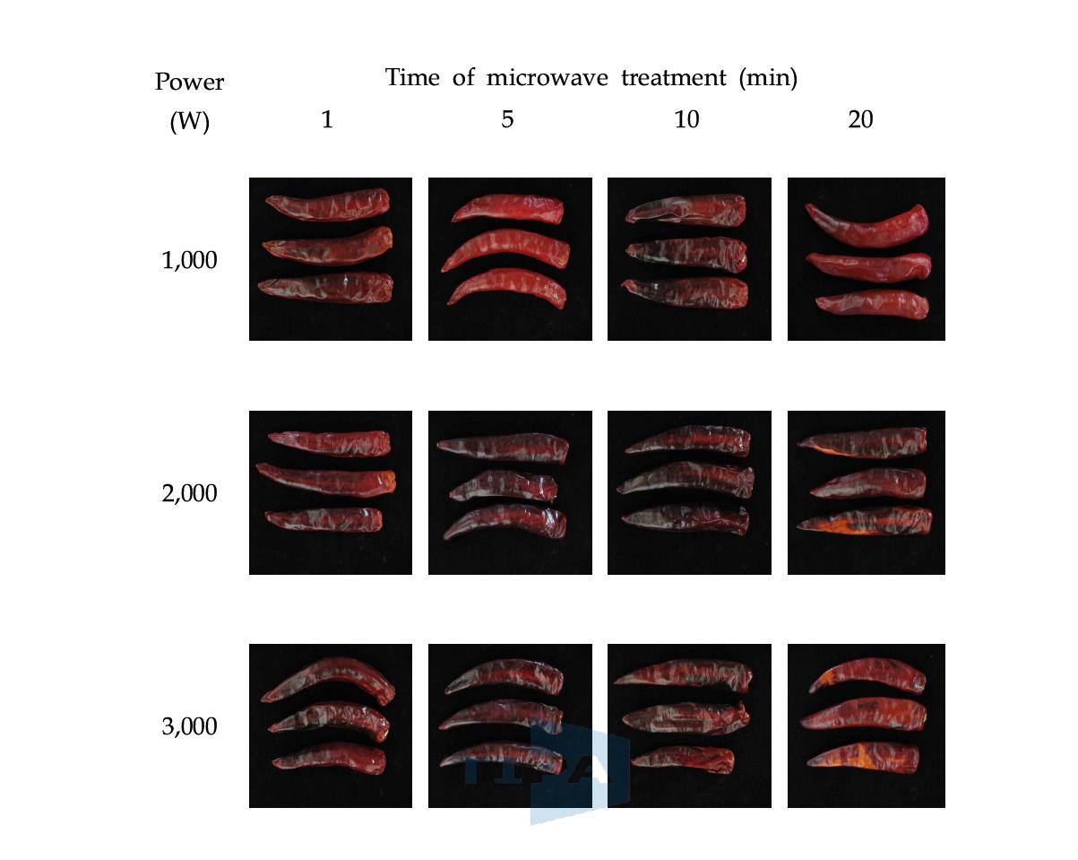 마이크로웨이브 전처리가 건조고추 외관과 색상에 미치는 영향
