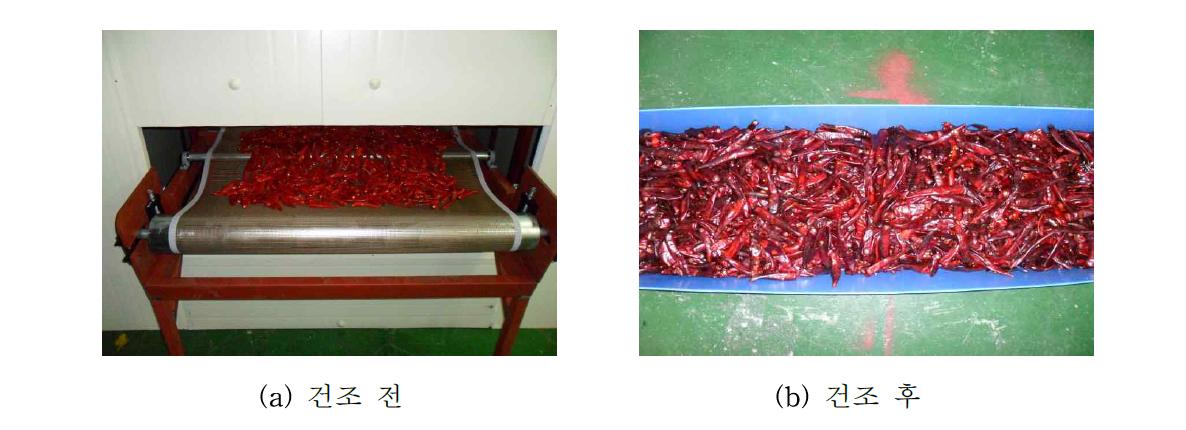 고추의 건조 전후 사진