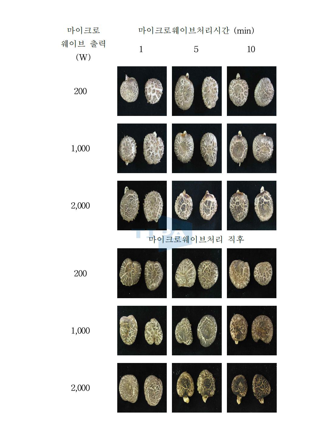 마이크로웨이브 전처리가 건조 표고버섯 외관에 미치는 영향
