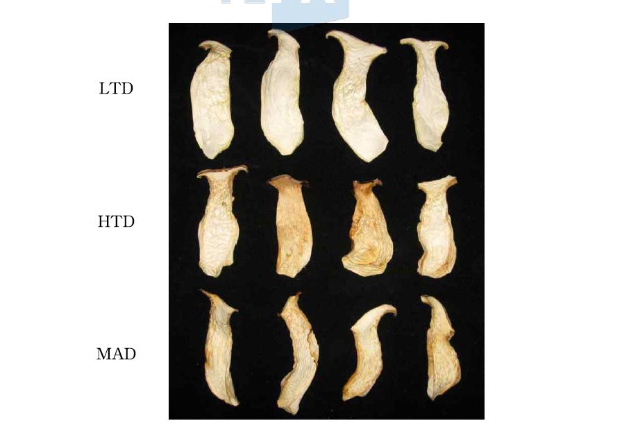 마이크로웨이브 전처리가 건조한 큰느타리버섯 외관에 미치는 영향