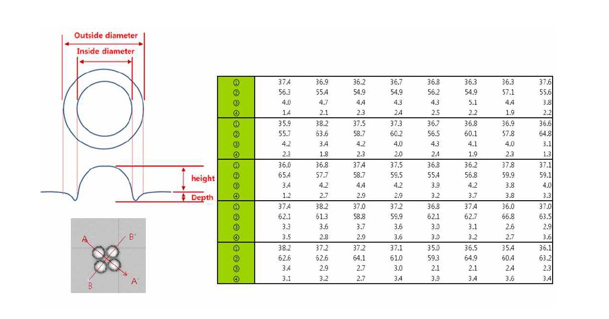 Replicated specimen 의 단면 치수 계측 결과