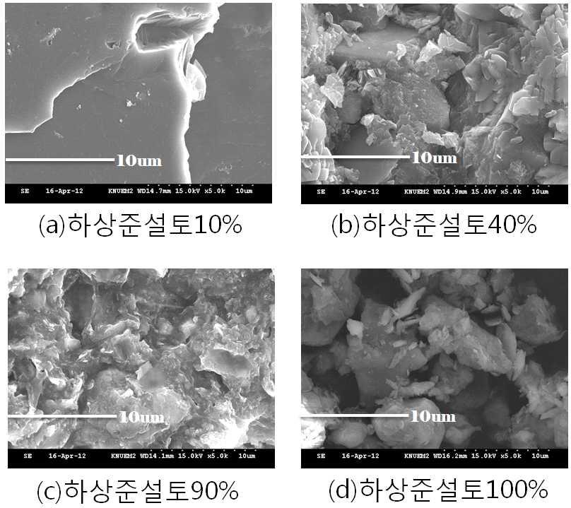 하상준설토 함량에 따른 모르타르 시편의 전자 현미경 사진.