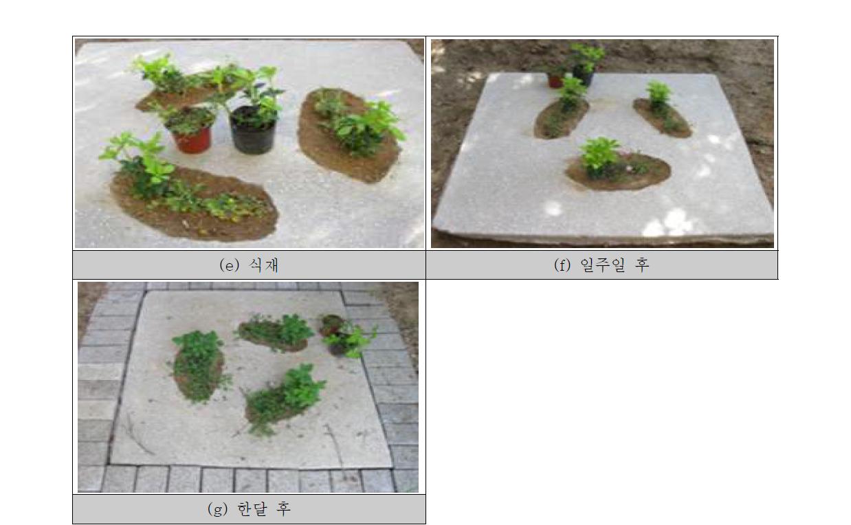 하상준설토와 고화제를 이용한 식재블록 제조 및 식재