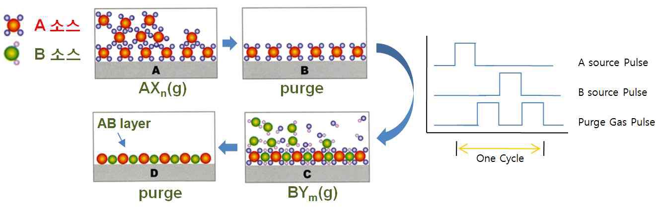 원자층 증착 공정의 기본원리