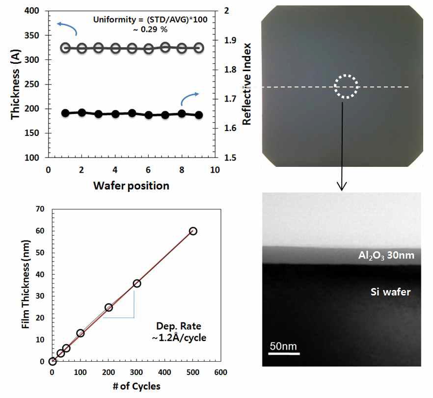 고 양산성 ALD 장비로 증착한 Al O 박막의 증착속도 및 균일도