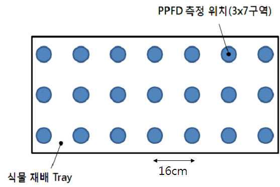 식물 재배 Tray에서 PPFD 측정 위치