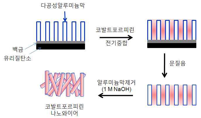 전기중합에 의한 코발트포르피린 나노와이어 제조과정