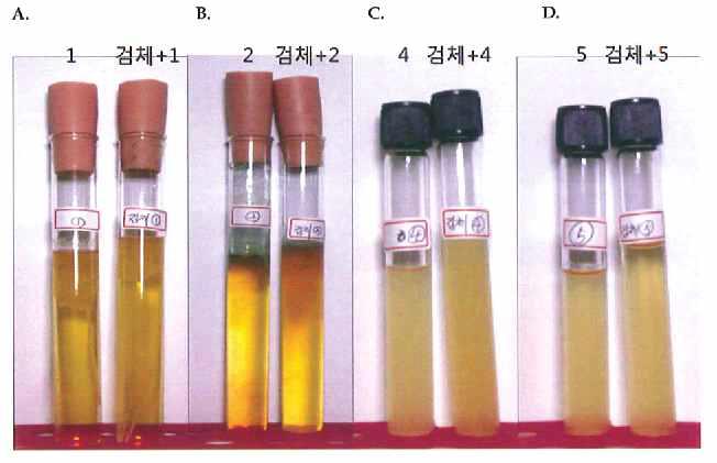사용 배지들 (A와 B: 액상티오글리콜산배지, C와 D: 대두카제인소화배지)의 성능시험 및 시험균종들 (1. Staphylococcus aureus, 2. Pseudomonas aeruginosa, 4. Bacillus albicans, 5. Candida albicans)에 대한 밸리데이션 실험