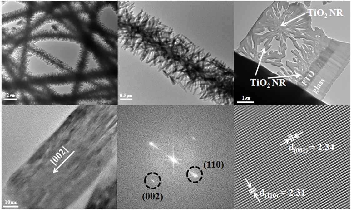 TEM을 이용한 TiO2 nanobarberd의 형상 및 구조적 분석