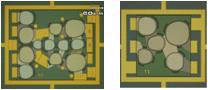 Band 8 chip 사진