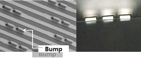 필름 유닛의 접촉 bump tip의 구조 및 단면 형상(SEM 사진)