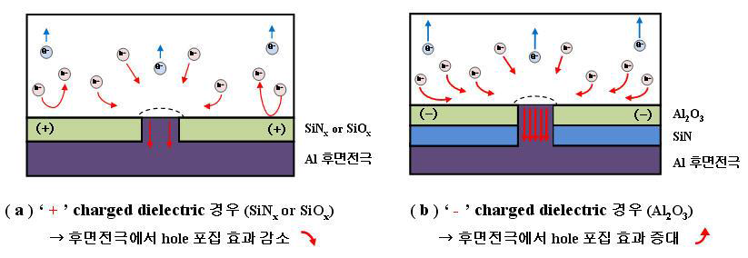 Al2O3 후면 패시베이션에 의한 후면 전극에서 홀 포집 효과 증대 현상 모식도