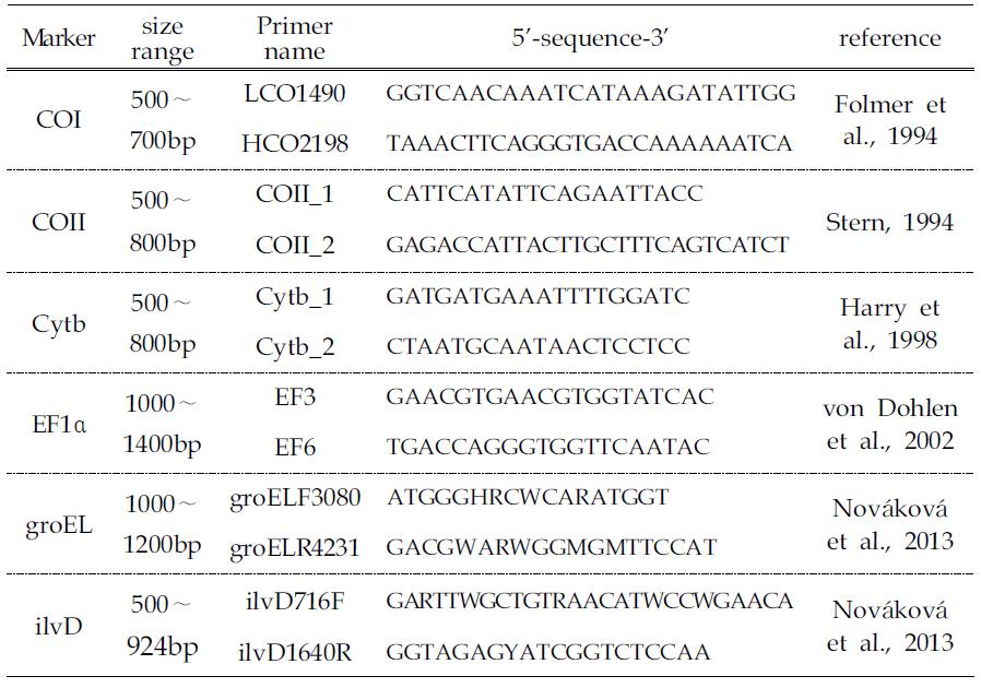 진딧물 DNA 마커 증폭을 위하여 사용된 프라이머