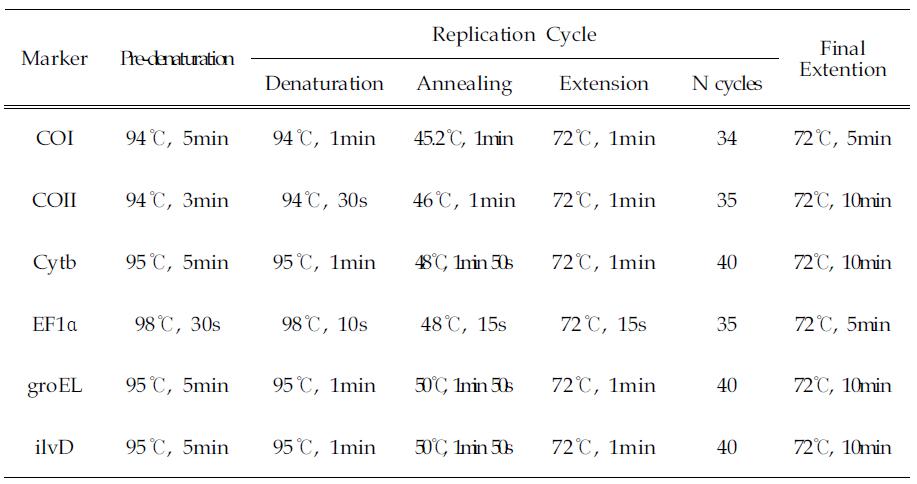 마커별 PCR 조건