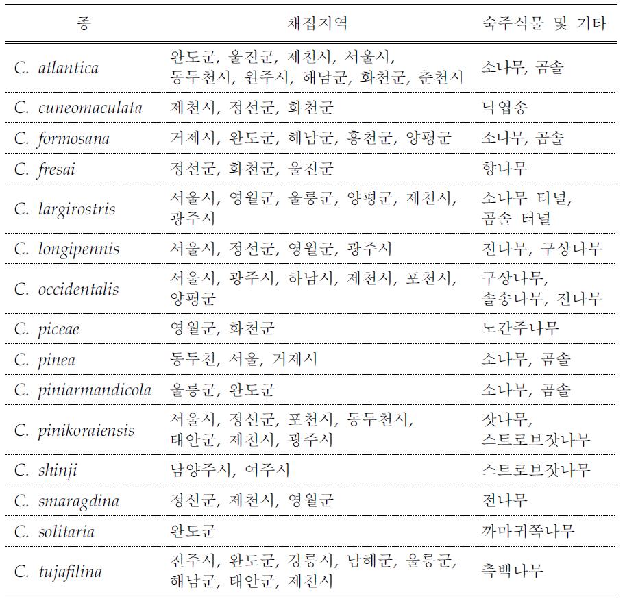 Cinara속 진딧물 종별 조사지역 및 숙주식물 현황