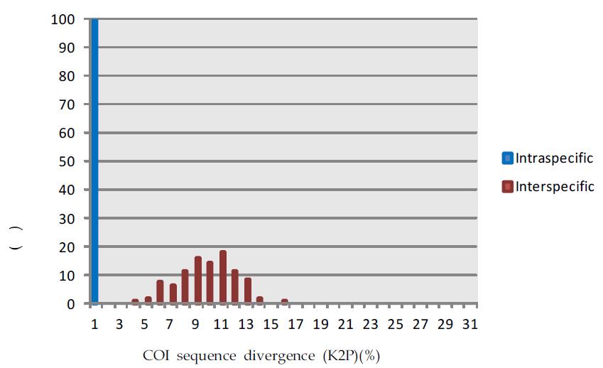 Cinara 속 준위별 pairwise distance 비교.