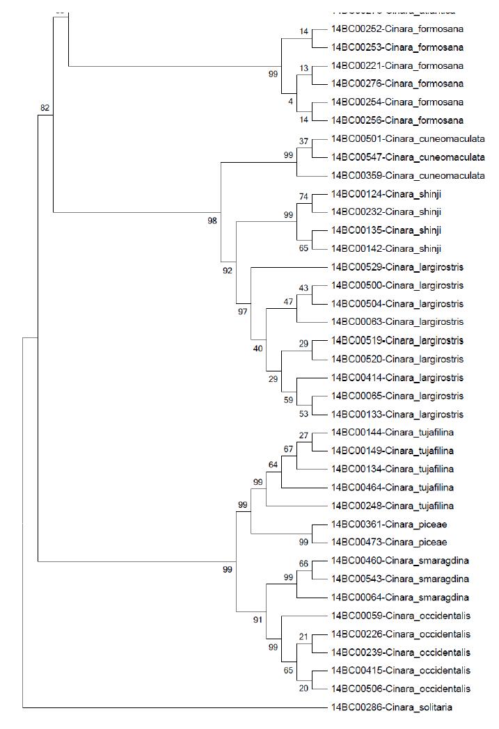 EF-1ɑ NJ tree Bootstrap 2000 (2/2)