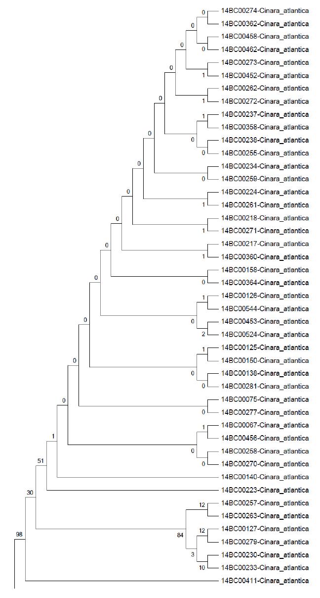 trpB NJ tree Bootstrap 2000 (1/2)