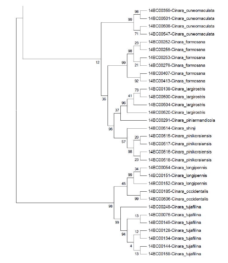 trpB NJ tree Bootstrap 2000 (2/2)