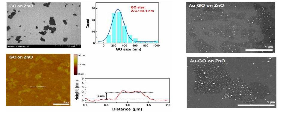 산화 그래핀이 형성된 산화아연 박막의 SEM 사진, 산화 그래핀의 크기 분포, AFM 사진과 height profiling 결과와 Au 나노입자가 형성된 산화그래핀-산화아연 하이브리드 박막의 SEM 사진.