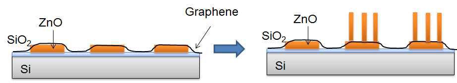 기판을 이용한 그래핀 위에 ZnO 나노선 성장의 모식도