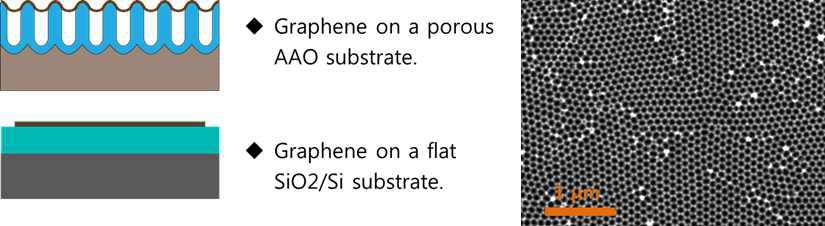 AAO 기판에 전사된 그래핀의 모식도 및 전자현미경 사진